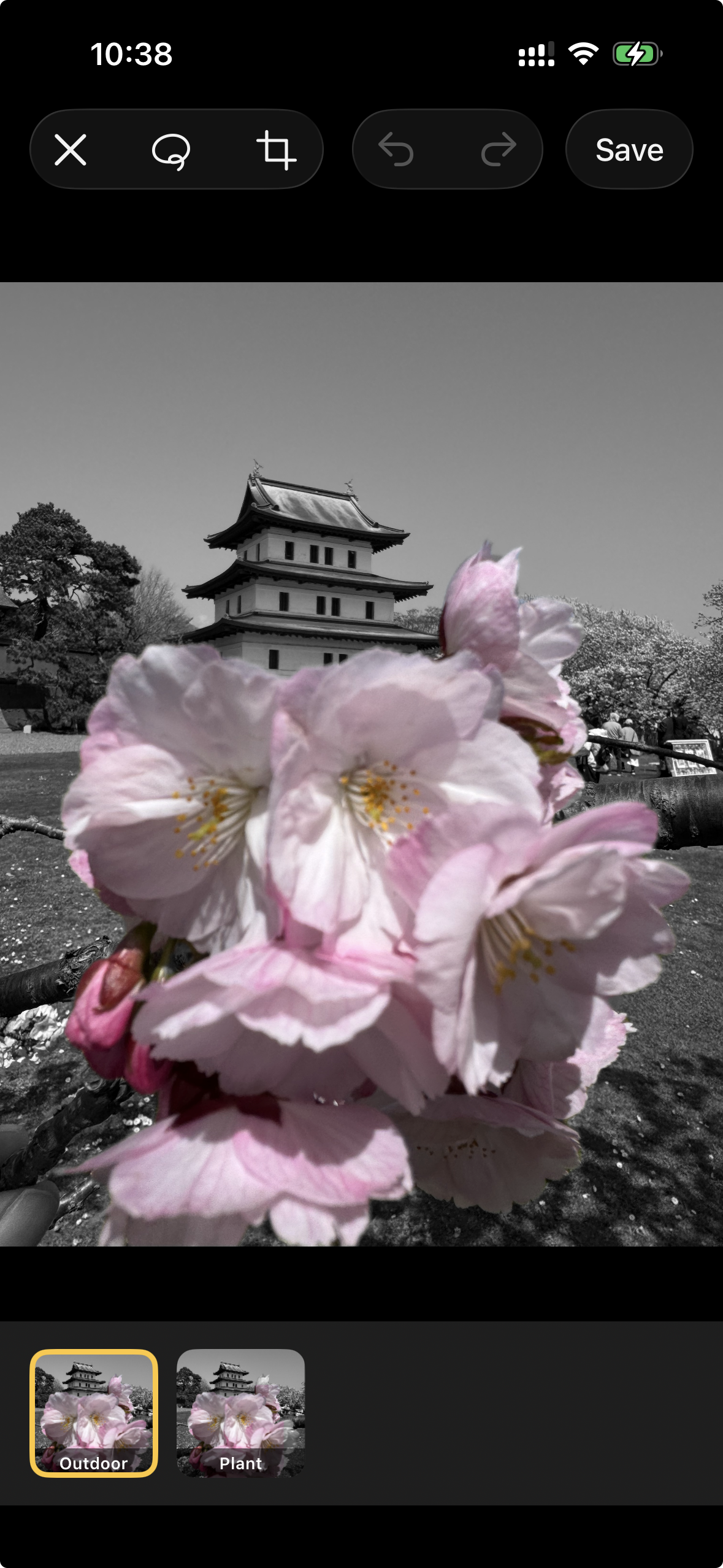 Splash Image editor showing the thumbnail strip of detected instances